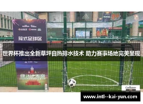 世界杯推出全新草坪自热排水技术 助力赛事场地完美呈现